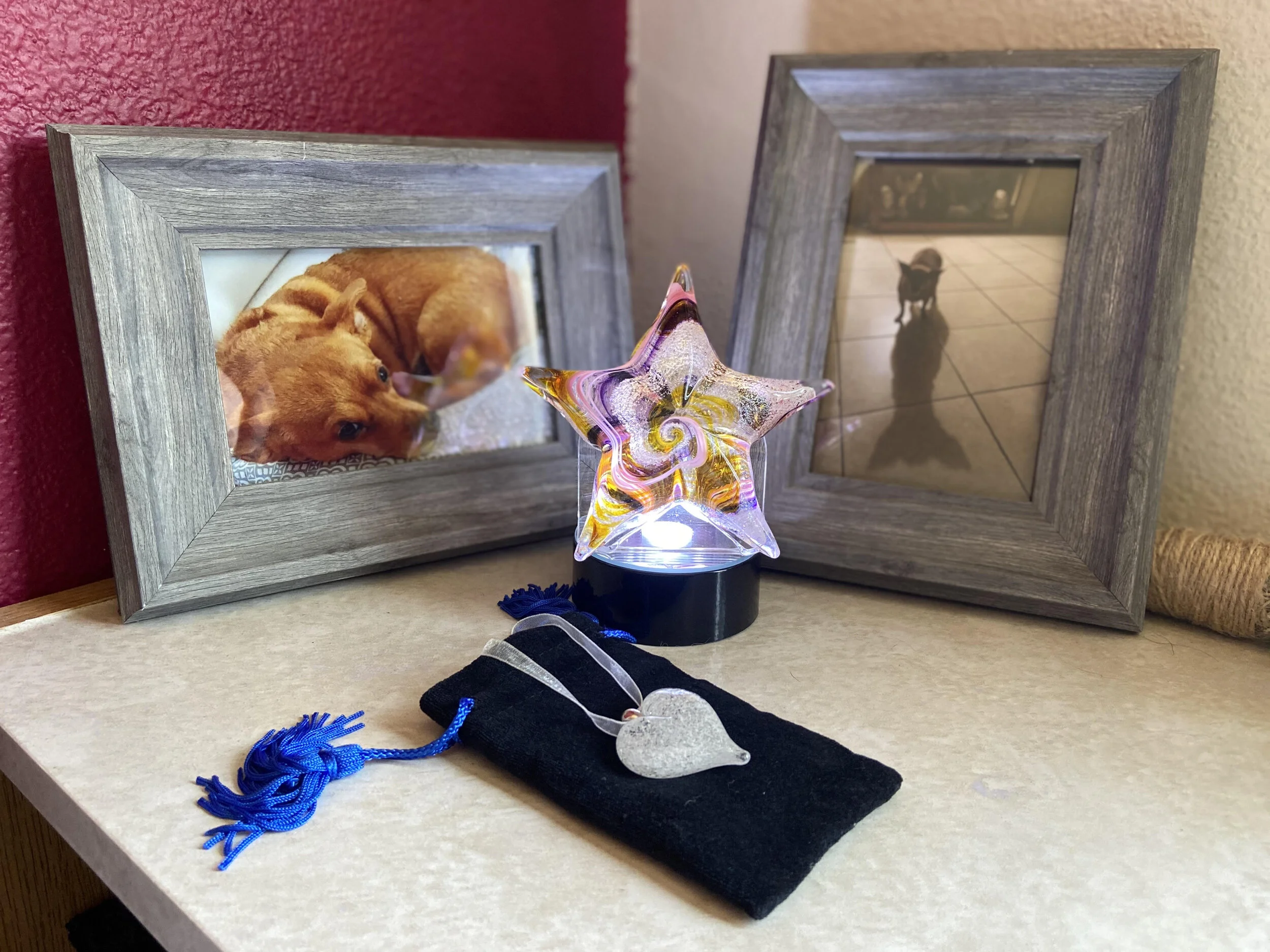 Home — Rainbow Bridge Hearts